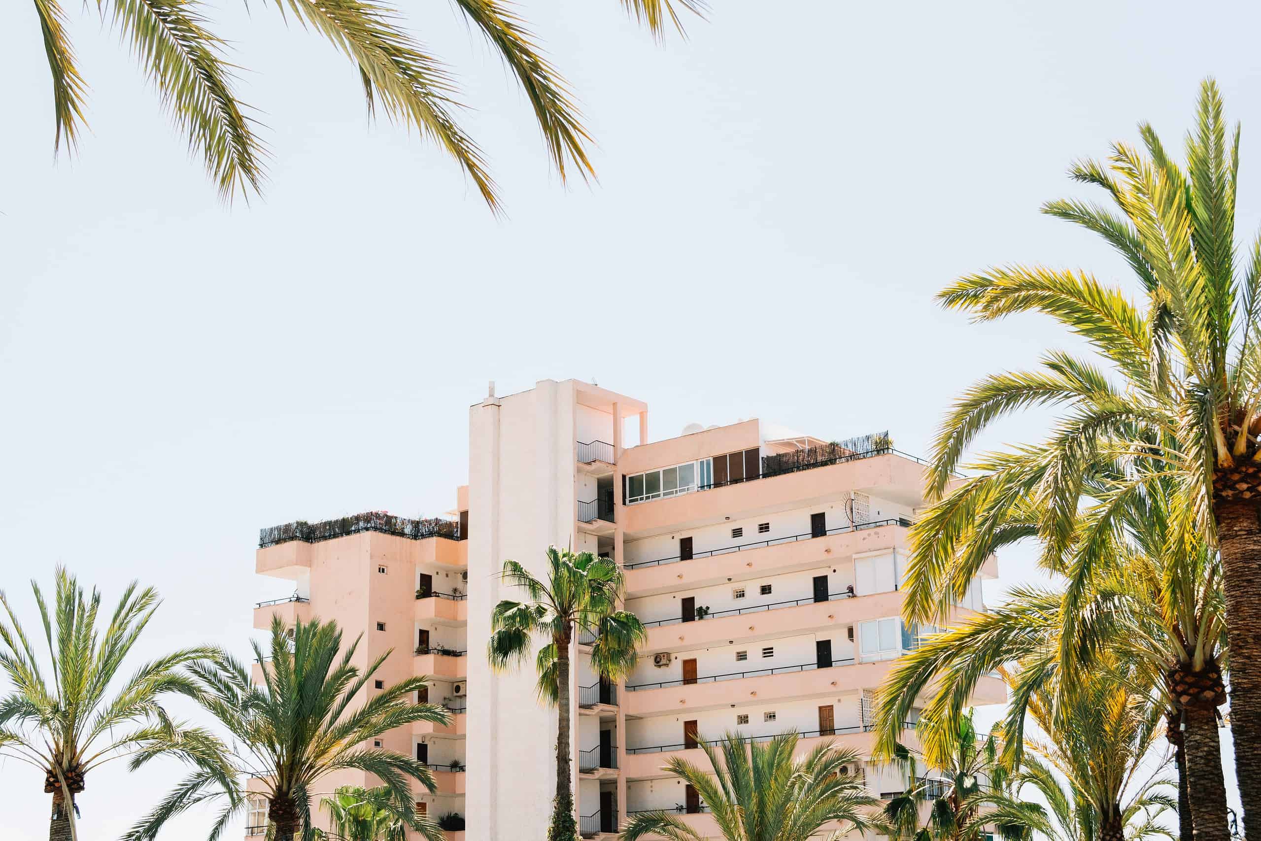 Palma Spain hotel with palm trees.