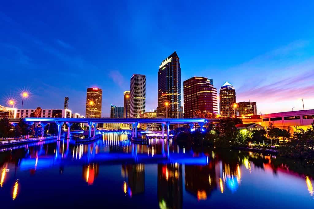 Tampa Bay skyline at night.
