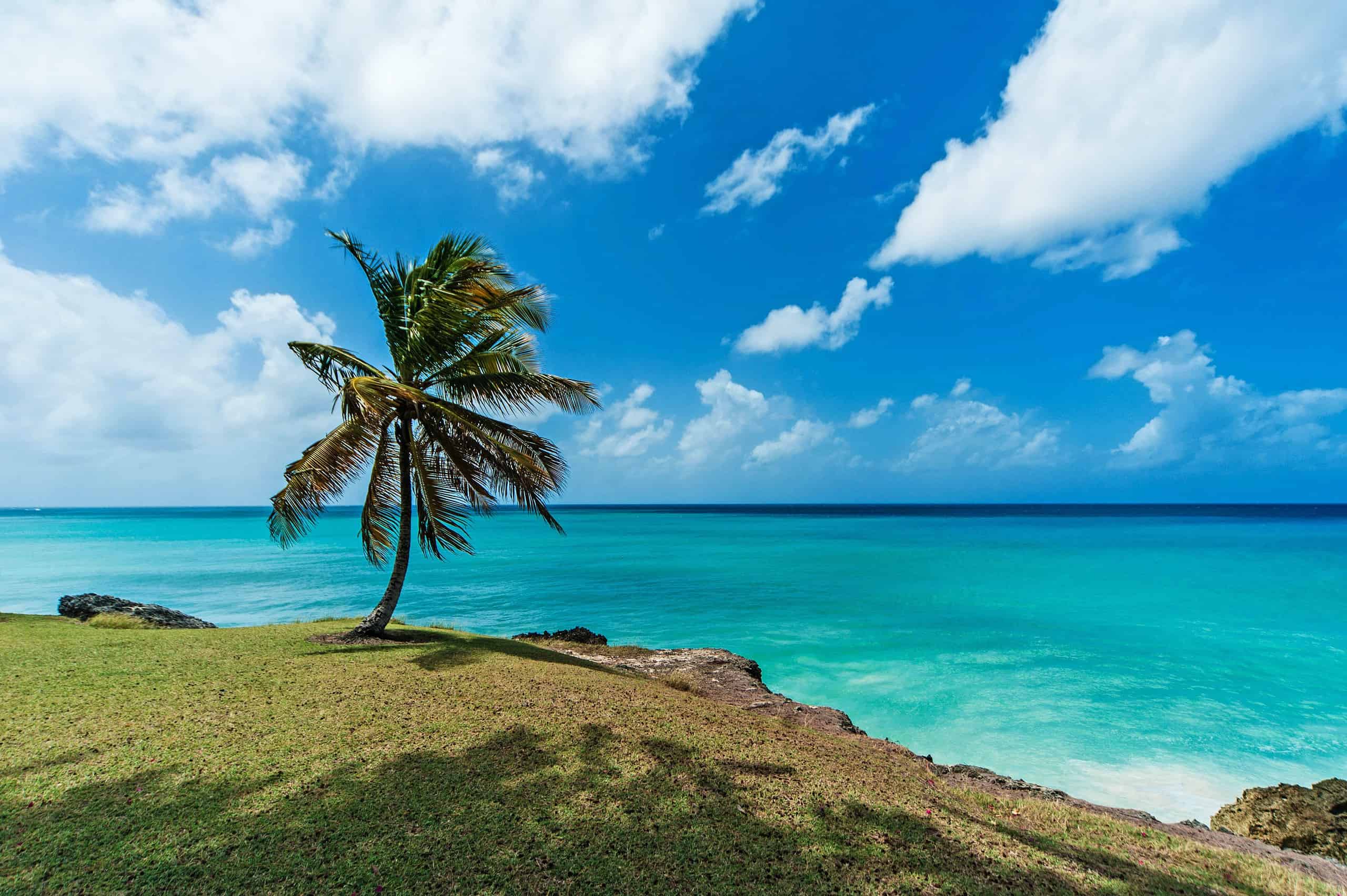 A beach in Bridgetown