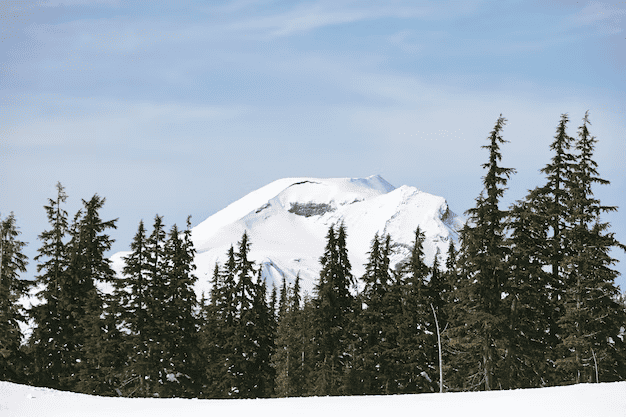 white mountains of Northern East Coast