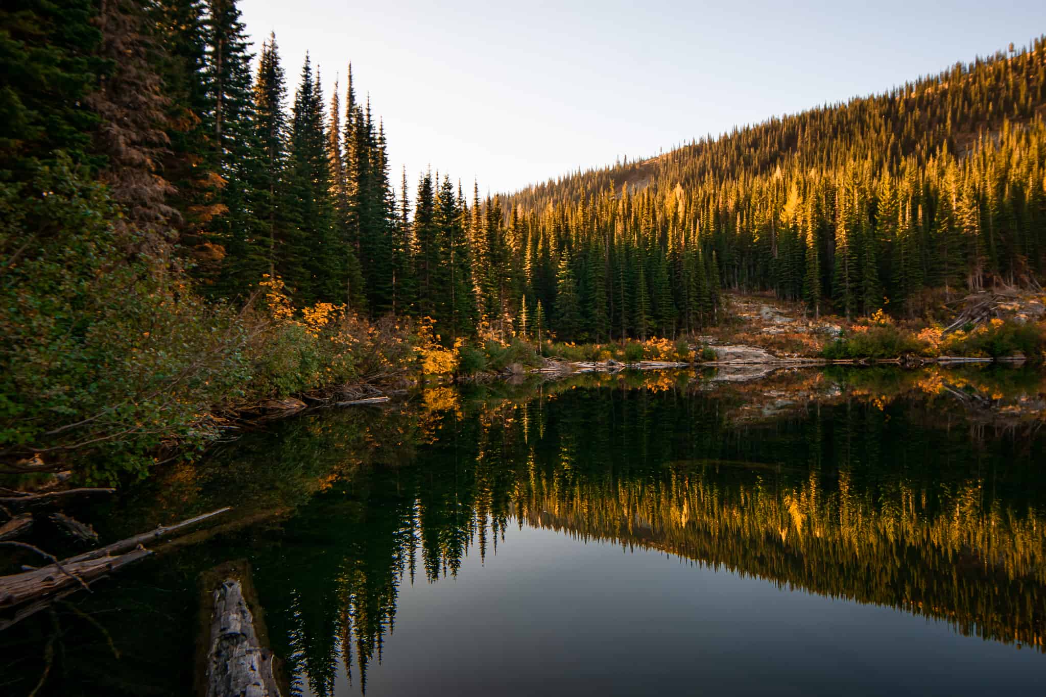 A hike in Sandpoint, Idaho.