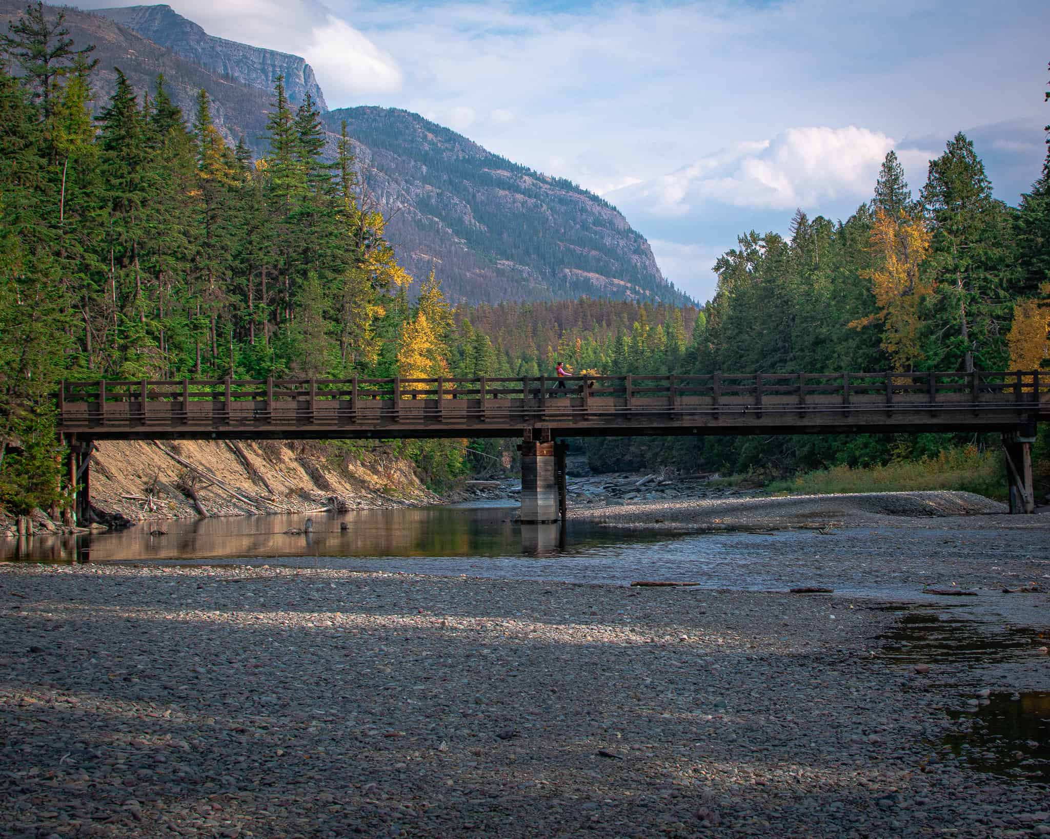 A woman walking her dog in Glacier National park over a bridge.