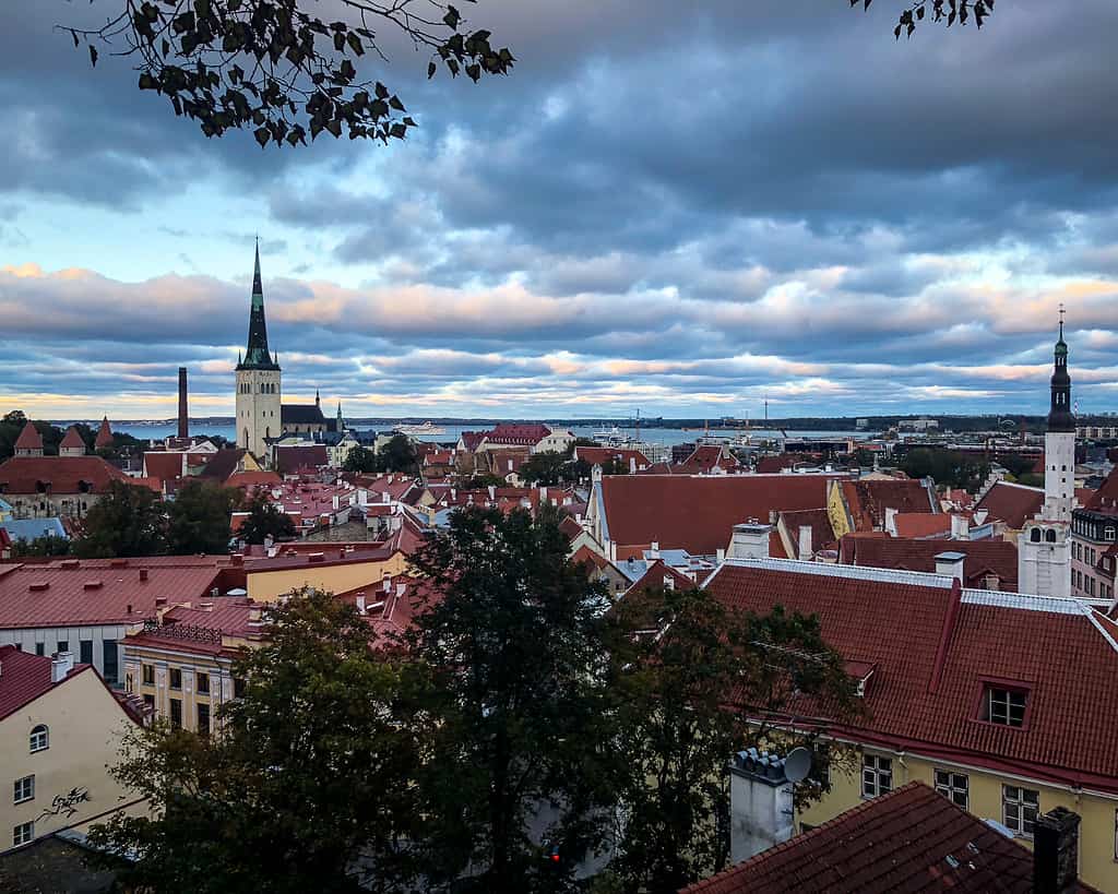 A view from the top of Tallinn, Estonia.