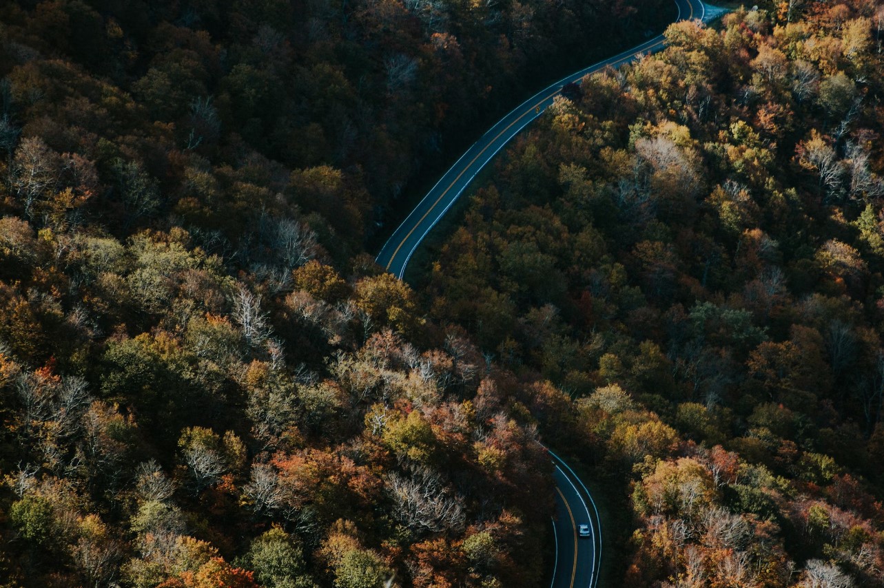 Roan Mountain Place, Raleigh, United States