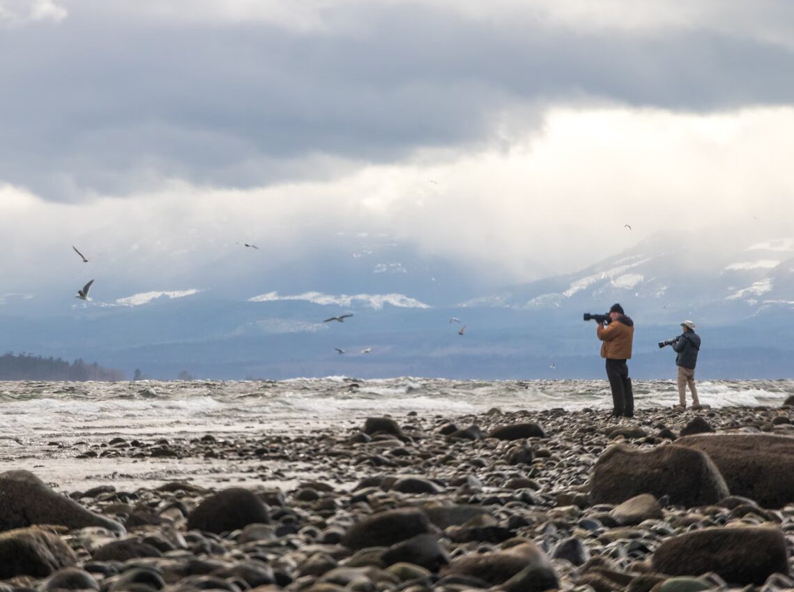 Beautiful Wild Nature of Comox, Canada