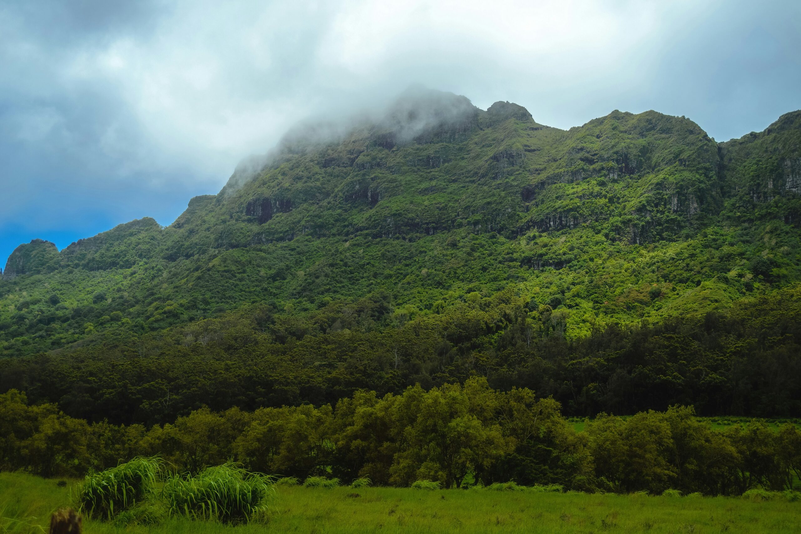 Beautiful City View of Lihue, Hawaii